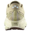 Pánská běžecká obuv Salomon Aero Glide 3 GRVL Green Haze/Vanilla Ice/Russet