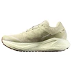 Pánská běžecká obuv Salomon Aero Glide 3 GRVL Green Haze/Vanilla Ice/Russet
