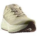 Pánská běžecká obuv Salomon Aero Glide 3 GRVL Green Haze/Vanilla Ice/Russet