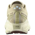 Pánská běžecká obuv Salomon Aero Glide 3 GRVL Green Haze/Vanilla Ice/Russet