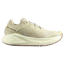 Pánská běžecká obuv Salomon Aero Glide 3 GRVL Green Haze/Vanilla Ice/Russet