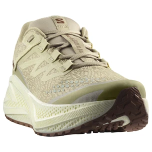 Pánská běžecká obuv Salomon Aero Glide 3 GRVL Green Haze/Vanilla Ice/Russet
