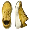 Pánská běžecká obuv Salomon Aero Glide 3 GRVL Spicy Mustard/Vanilla Ice/Deep Lichen Green