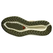 Pánská běžecká obuv Salomon Aero Glide 3 GRVL Spicy Mustard/Vanilla Ice/Deep Lichen Green