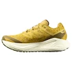 Pánská běžecká obuv Salomon Aero Glide 3 GRVL Spicy Mustard/Vanilla Ice/Deep Lichen Green