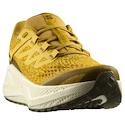 Pánská běžecká obuv Salomon Aero Glide 3 GRVL Spicy Mustard/Vanilla Ice/Deep Lichen Green