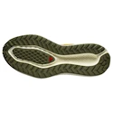 Pánská běžecká obuv Salomon Aero Glide 3 GRVL Spicy Mustard/Vanilla Ice/Deep Lichen Green