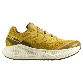Pánská běžecká obuv Salomon Aero Glide 3 GRVL Spicy Mustard/Vanilla Ice/Deep Lichen Green