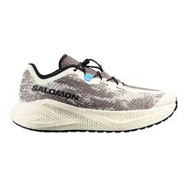 Pánská běžecká obuv Salomon Aero Glide 4 GRVL Vanilla Ice/Black/Iron