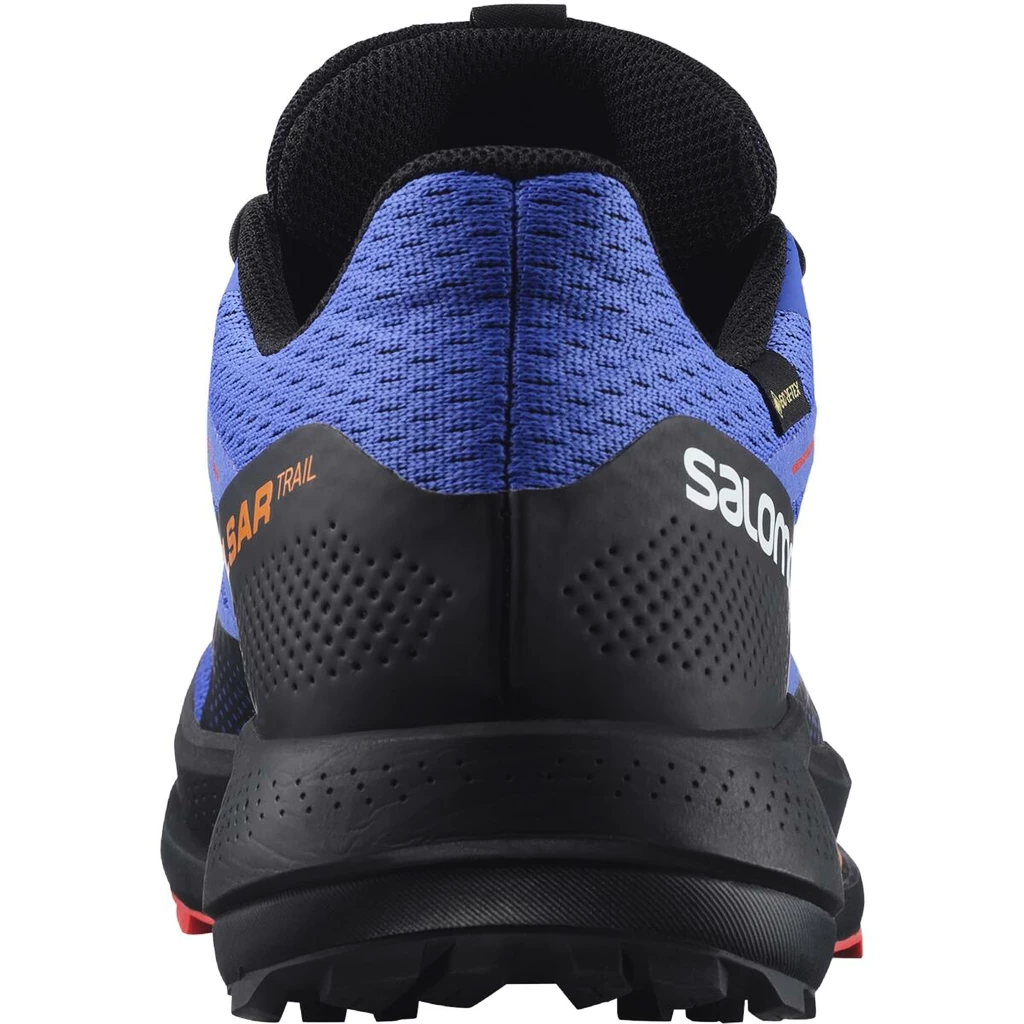 Pánská běžecká obuv Salomon Pulsar Trail GTX Dazzling Blue