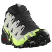 Pánská běžecká obuv Salomon Speedcross 6 Gore-Tex Black/Alloy/Green Gecko