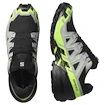 Pánská běžecká obuv Salomon Speedcross 6 Gore-Tex Black/Alloy/Green Gecko
