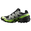 Pánská běžecká obuv Salomon Speedcross 6 Gore-Tex Black/Alloy/Green Gecko