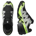Pánská běžecká obuv Salomon Speedcross 6 Gore-Tex Black/Alloy/Green Gecko