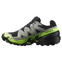 Pánská běžecká obuv Salomon Speedcross 6 Gore-Tex Black/Alloy/Green Gecko