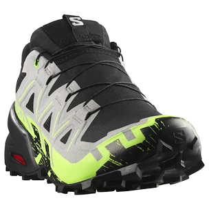 Pánská běžecká obuv Salomon Speedcross 6 Gore-Tex Black/Alloy/Green Gecko