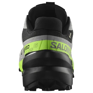 Pánská běžecká obuv Salomon Speedcross 6 Gore-Tex Black/Alloy/Green Gecko
