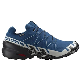 Pánská běžecká obuv Salomon Speedcross 6 Gore-Tex Poseidon/Black/Lunar Rock