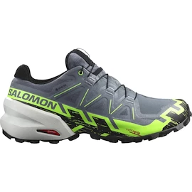 Pánská běžecká obuv Salomon SPEEDCROSS 6 GTX Flint/Grgeck/Black