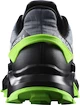 Pánská běžecká obuv Salomon SUPERCROSS 4 Flint/Black/Grgeck