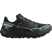 Pánská běžecká obuv Salomon Thundercross  GTX Black/Grgeck/Black