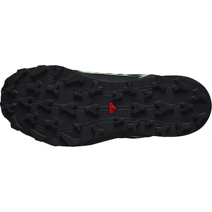 Pánská běžecká obuv Salomon Thundercross  GTX Black/Grgeck/Black