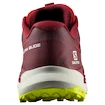 Pánská běžecká obuv Salomon Ultra Glide Biking Red/Lunar Rock