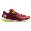 Pánská běžecká obuv Salomon Ultra Glide Biking Red/Lunar Rock
