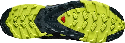 Pánská běžecká obuv Salomon XA Pro 3D V8 GTX Grey/Black