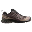 Pánská běžecká obuv Salomon Xa Pro 3D V9 Gore-Tex Black Coffee/Rum Raisin/Olive Night