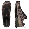Pánská běžecká obuv Salomon Xa Pro 3D V9 Gore-Tex Black Coffee/Rum Raisin/Olive Night