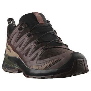 Pánská běžecká obuv Salomon Xa Pro 3D V9 Gore-Tex Black Coffee/Rum Raisin/Olive Night