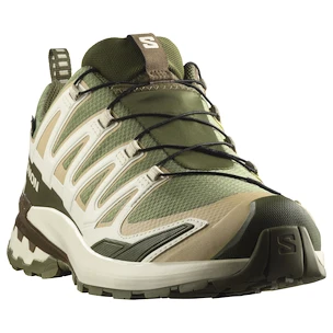 Pánská běžecká obuv Salomon Xa Pro 3D V9 Gore-Tex Deep Lichen Green/Safari/Dark Earth