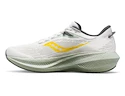 Pánská běžecká obuv Saucony  Triumph 21 Fog/Bough