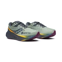 Pánská běžecká obuv Saucony  Triumph 22 Gtx Sage/Carbon