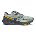 Pánská běžecká obuv Saucony  Triumph 22 Gtx Sage/Carbon