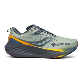 Pánská běžecká obuv Saucony  Triumph 22 Gtx Sage/Carbon