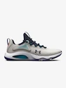 Pánská běžecká obuv Under Armour HOVR Rise 4-GRY  EUR 45,5
