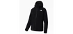 Pánská bunda The North Face  West Basin DryVent Jacket Black