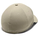 Pánská Kšiltovka Under Armour Men's Heathered Blitzing 3.0 hnědá