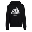 Pánská mikina adidas  Category Graphic Hoodie Black