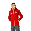 Pánská mikina adidas FC Bayern Mnichov 3S Zip AP1648