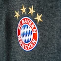 Pánská mikina adidas FC Bayern Mnichov 3S Zip AP1649