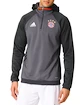 Pánská mikina adidas FC Bayern Mnichov Fleece AO0334