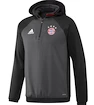 Pánská mikina adidas FC Bayern Mnichov Fleece AO0334