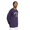 Pánská mikina adidas  Heritage Graphic Crew Sweatshirt