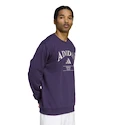 Pánská mikina adidas  Heritage Graphic Crew Sweatshirt