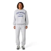 Pánská mikina CCM  Athleisure Crew Grey Melange