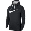 Pánská mikina Nike Dry Hoodie Swoosh šedá