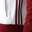Pánská mikina s kapucí adidas 3S Zip FC Bayern Mnichov AP1650